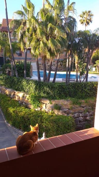 Appartamento Planta Baja Cerca De La Playa Casares Costa Esterno foto